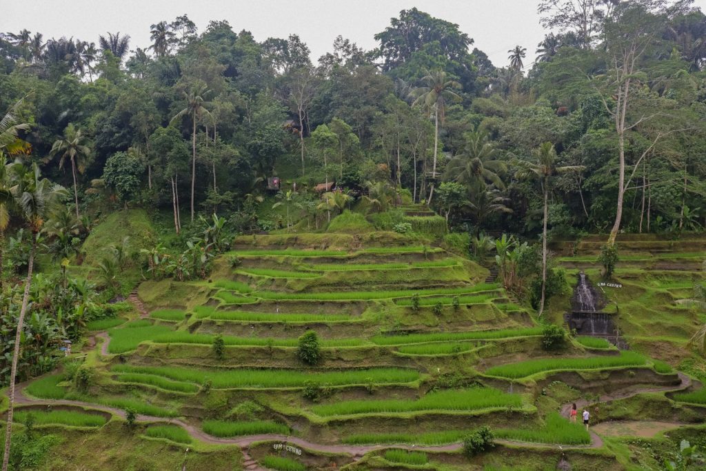 B211A Visa Indonesia: The Social-Cultural Visa