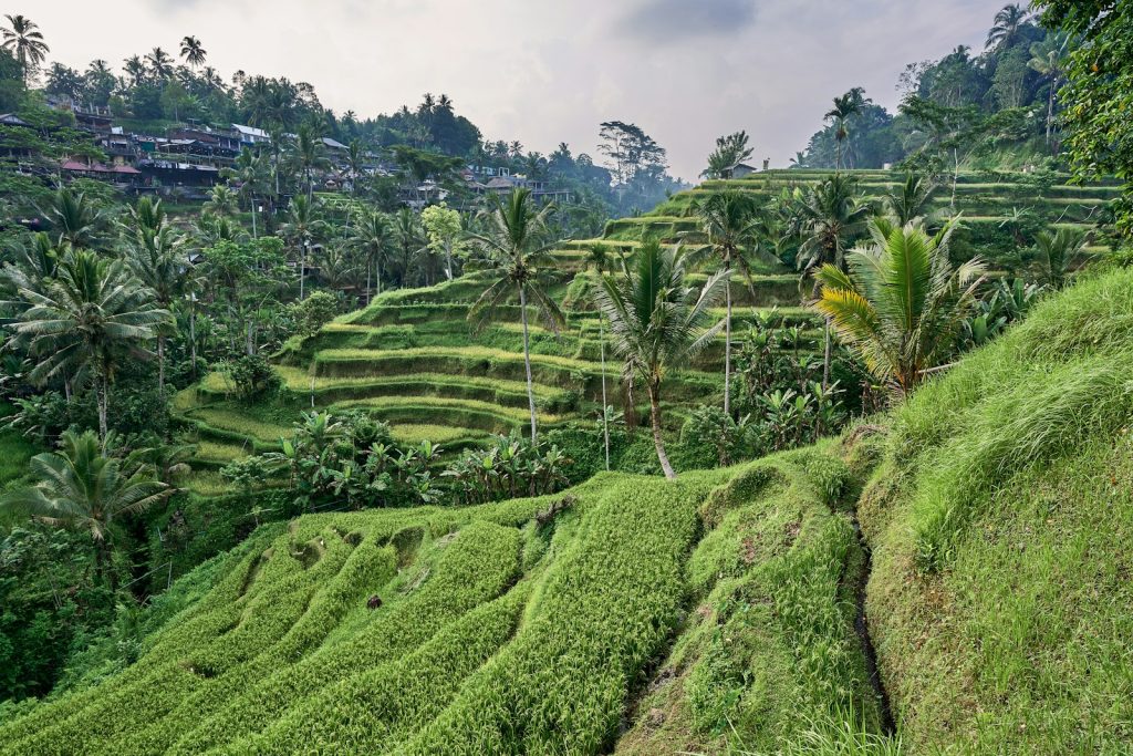 Indonesia Overstay Fine & Penalties Explained