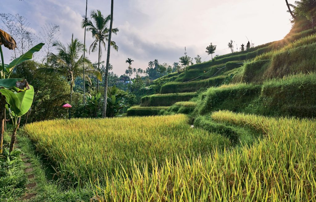Indonesia Visa Runs: How They Work & the Crackdown