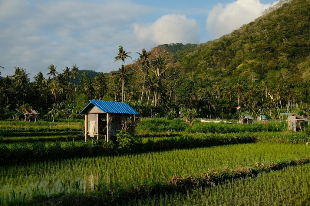 Is the Indonesia Golden Visa Worth It?