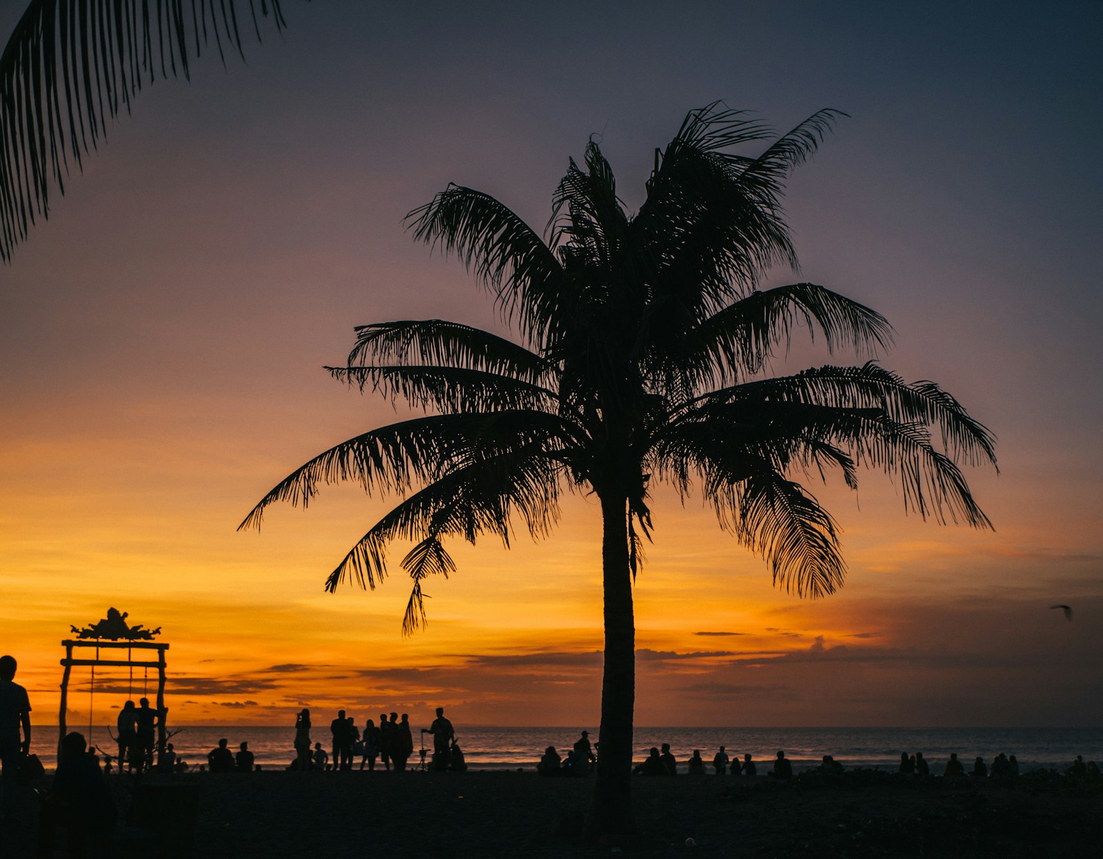 Moving to Bali