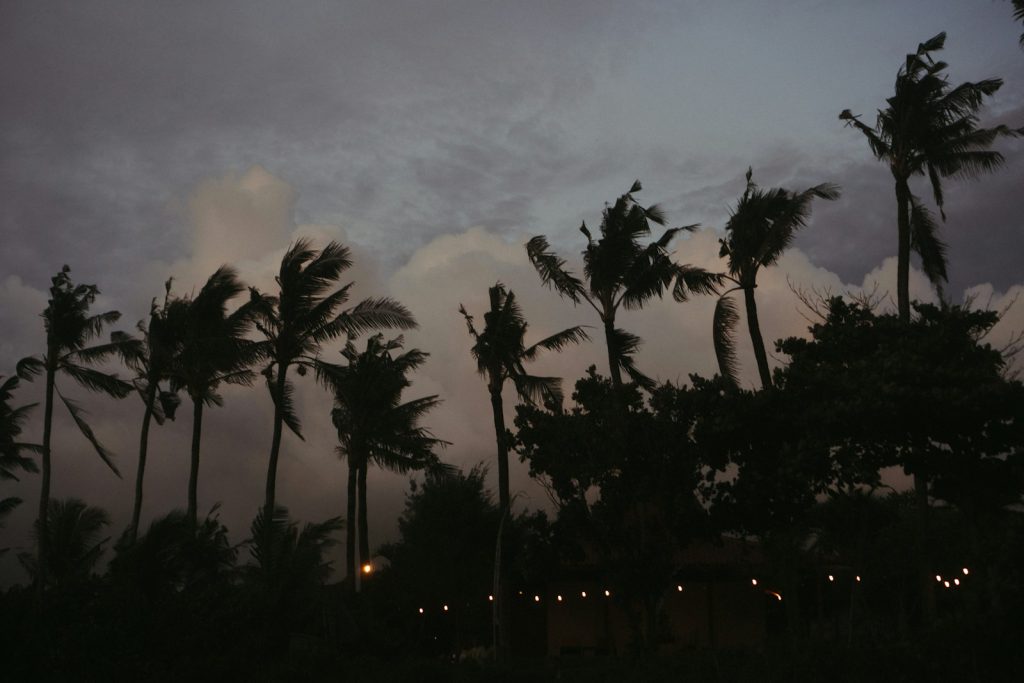 Moving to Canggu: Surf, Cafés & Remote Work