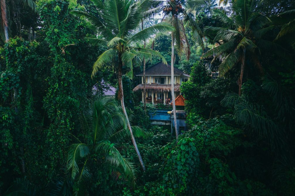 Moving to Ubud: Wellness & Jungle Living